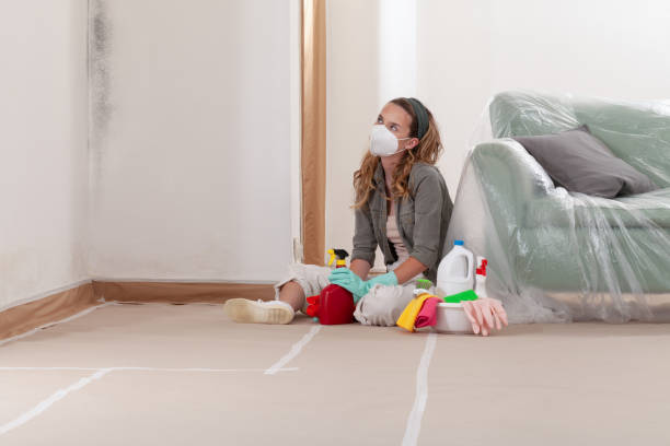 Trusted Mold Removal service in Marshall, VA - WQB Mold Removal